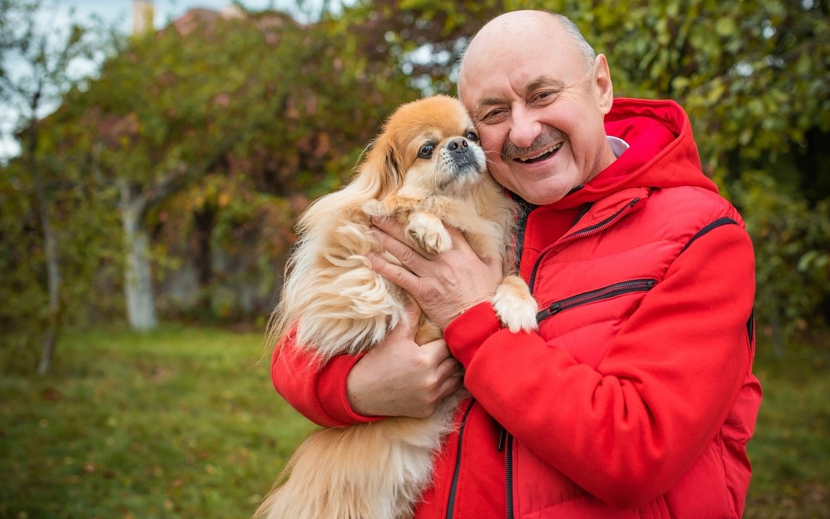 10 things to know before adopting a pet as a senior